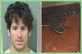 Florida Man Throws Crocodile In Drive Thru